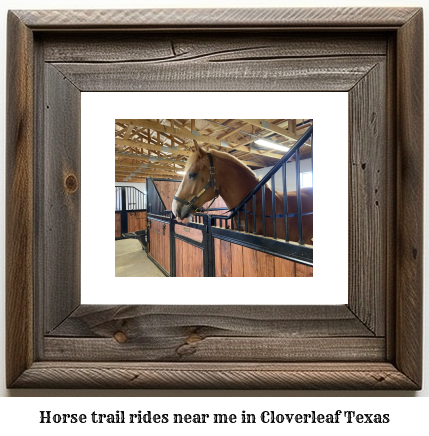 horse trail rides near me in Cloverleaf, Texas